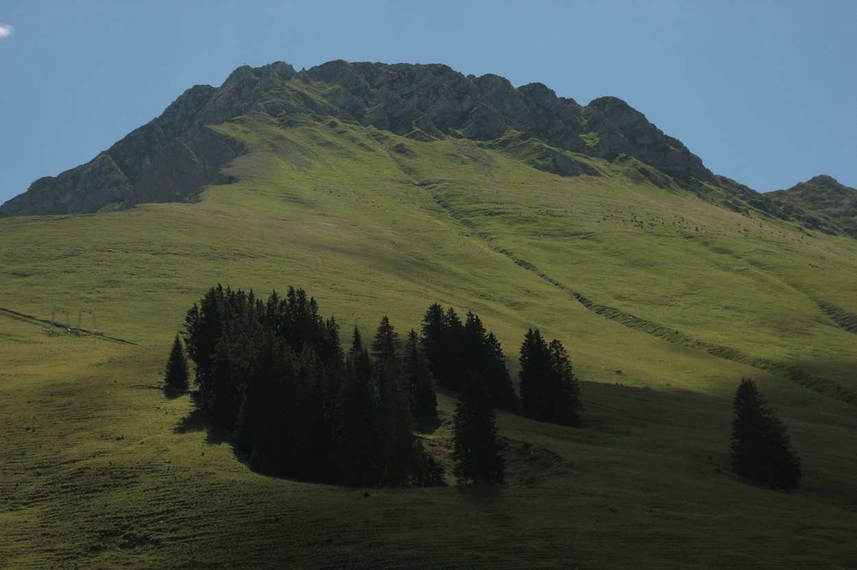 versant W du Kaiseregg