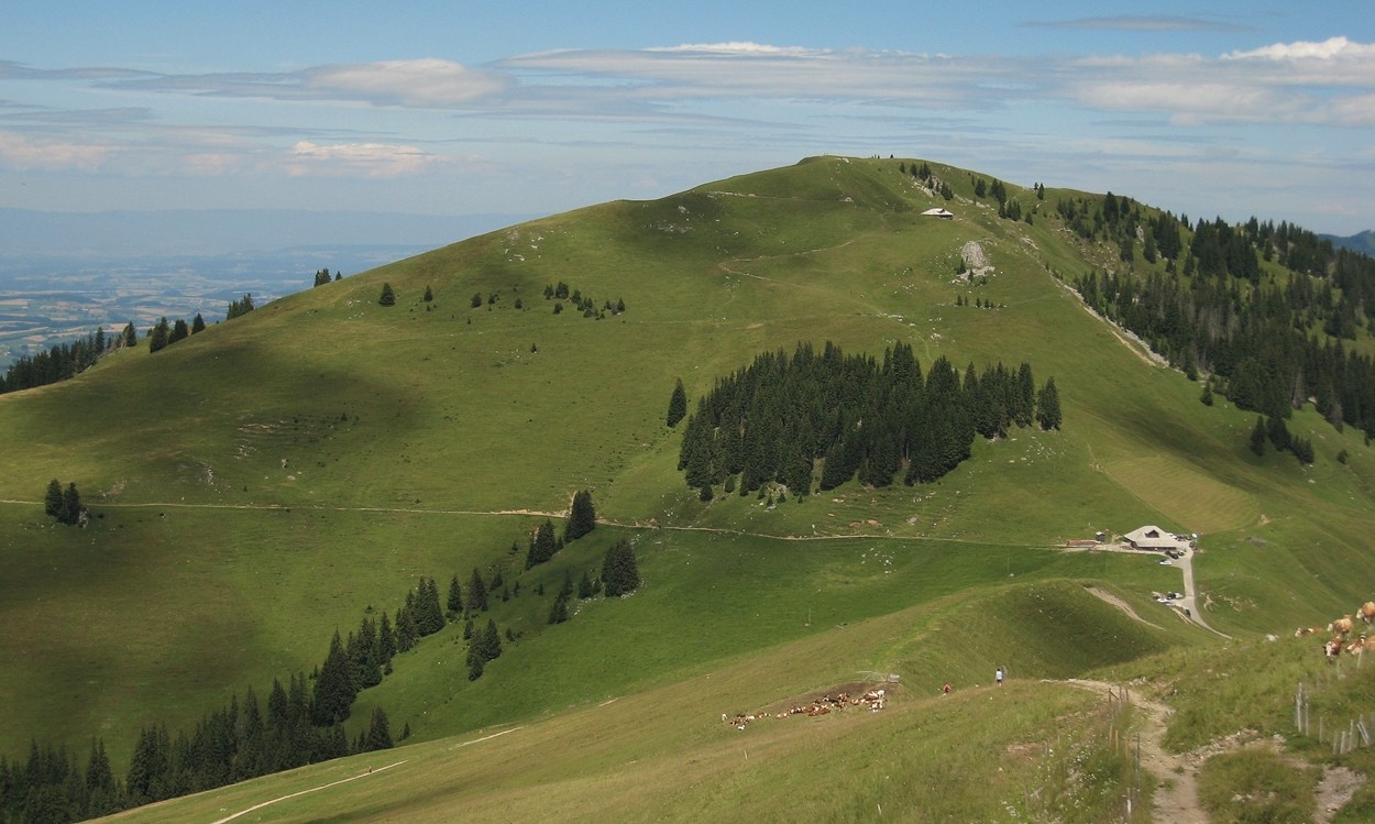 Hohmattli et ferme de Salzmatt en bas