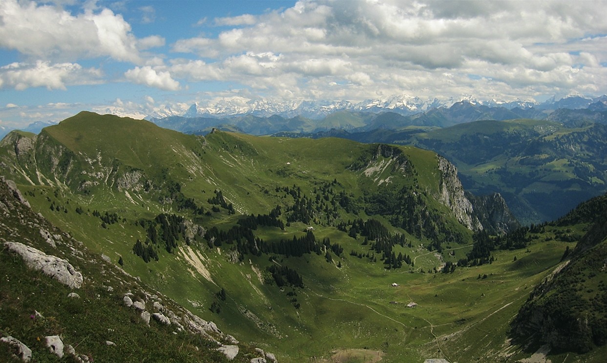 Widdergalm et au fond les Alpes Bernoises
