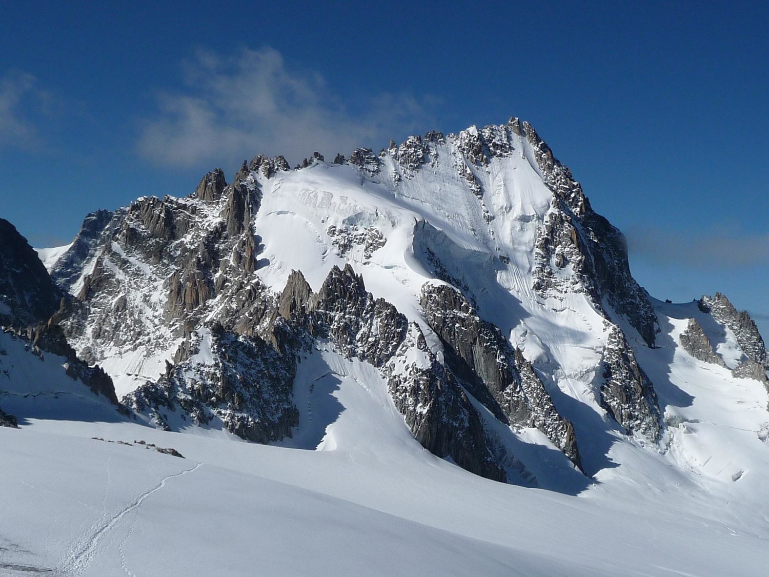 le chardonnet