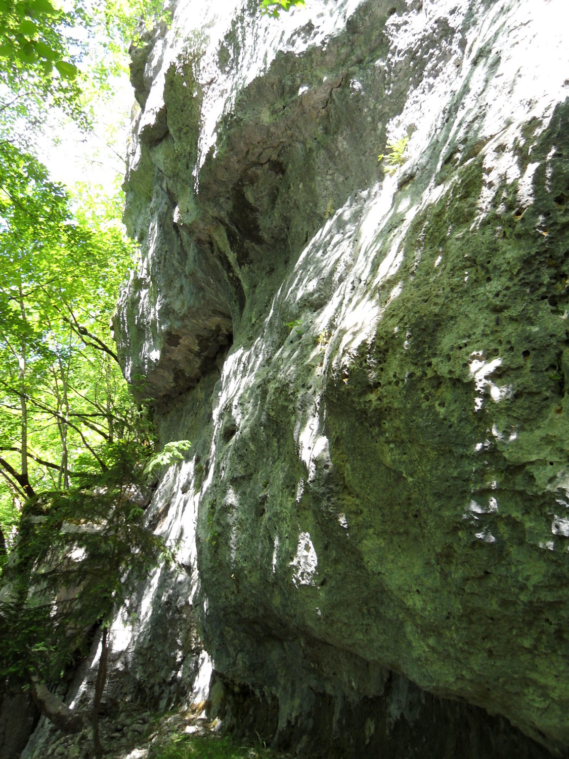 un 7B+ du secteur "les enfers"