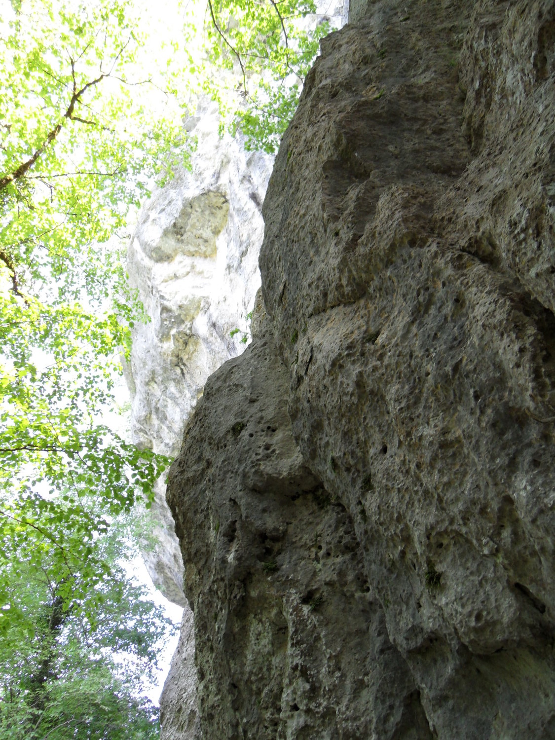 Pas une voie en particulier, juste l'ambiance sous-bois de la grimpe en été au pied de la falaise