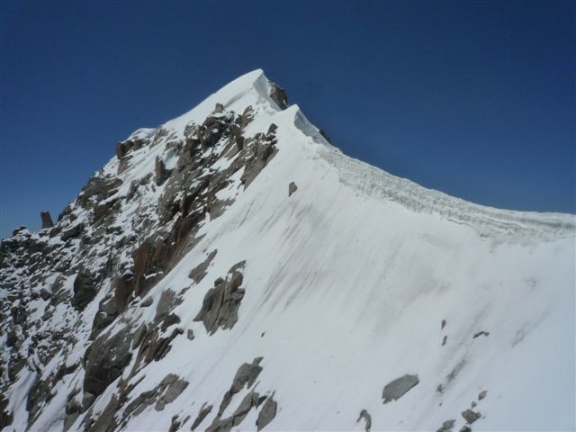 La verte