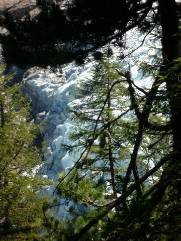 glacier des Bosson