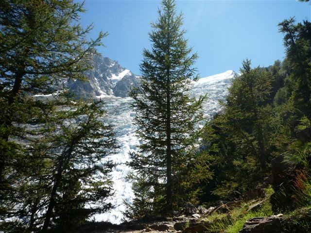 glacier des Bosson