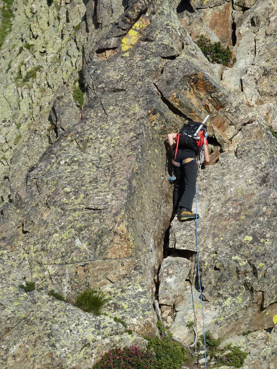 Arête des papillons