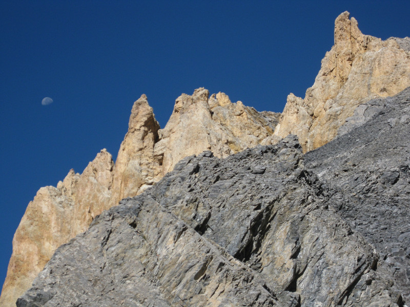 Lune à tics