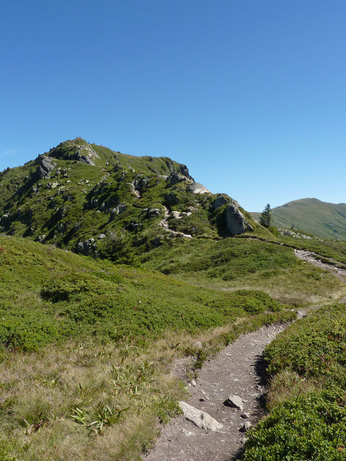 j'aperçois une motte enfourmillée...sommet en vue?