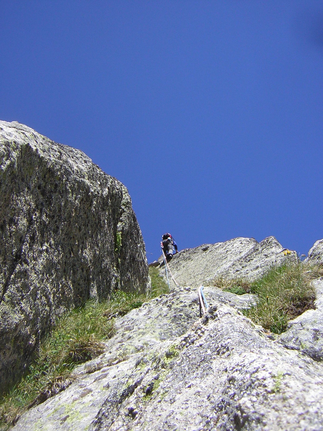 L5, on herborise.