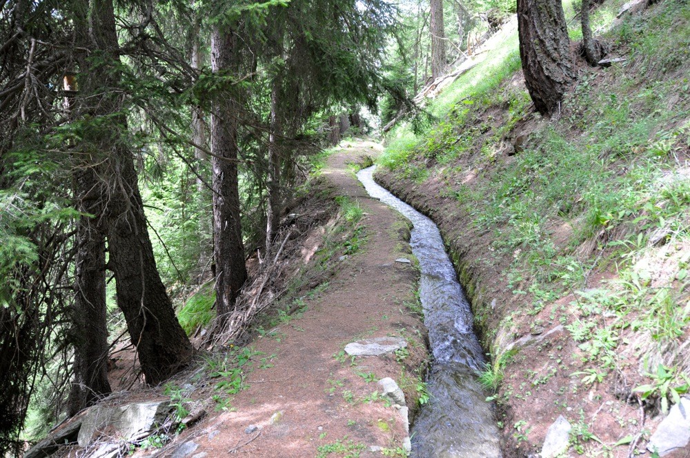 Eisterli