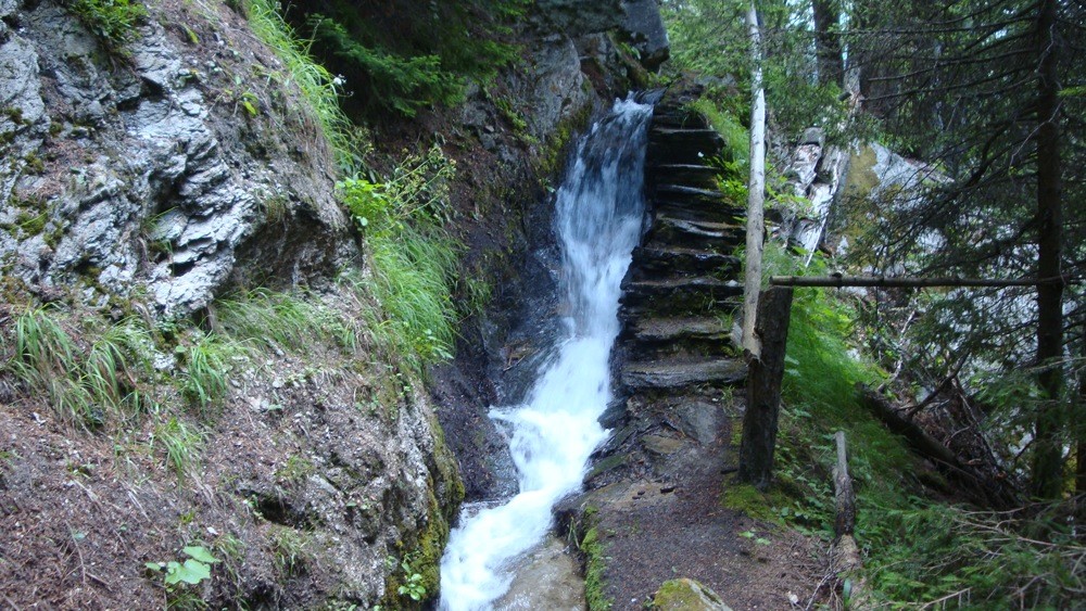 Eisterli