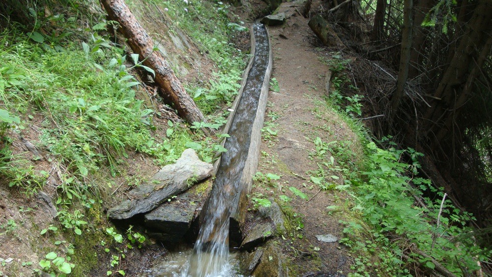 Eisterli