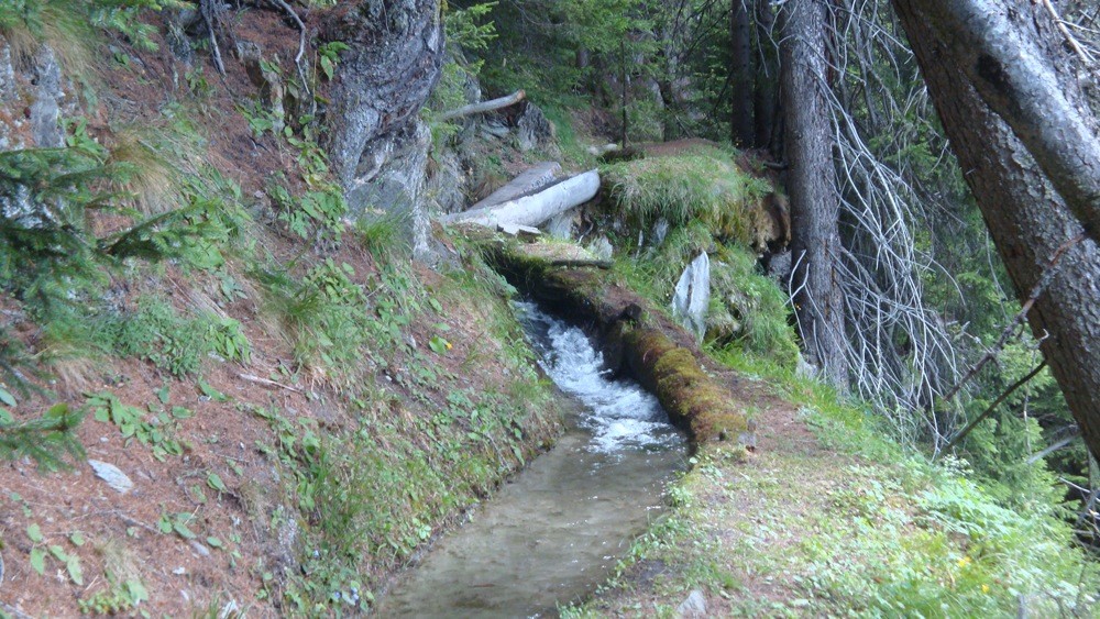 Eisterli