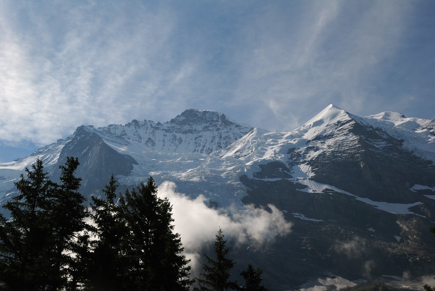 Jungfrau et Silberhorn vus de Biglenalp