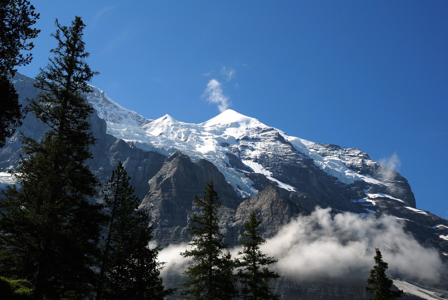 Silberhorn vu de Biglenalp