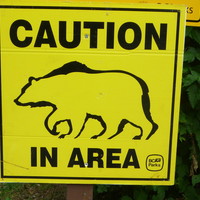 Faune locale