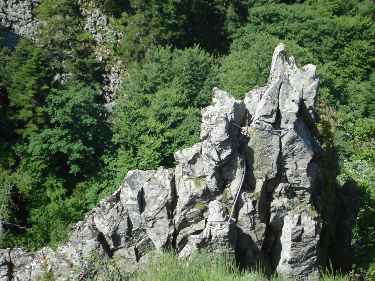 R4 vue de derrière