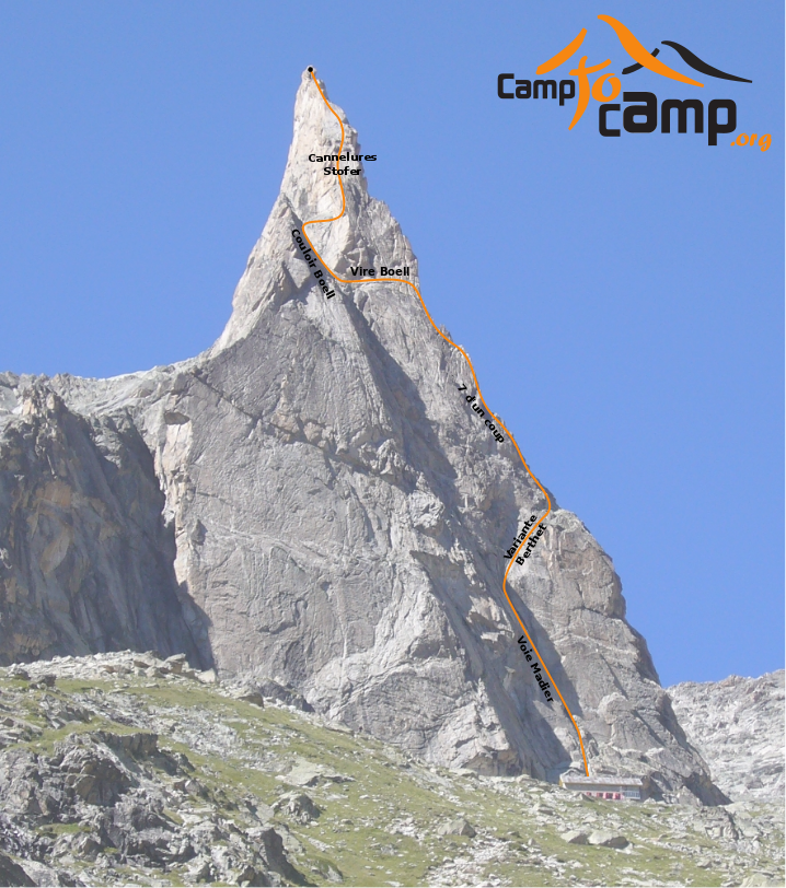 Topo