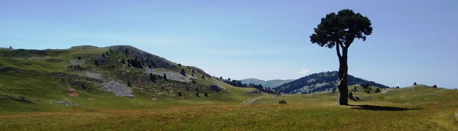 après le pas des bachassons