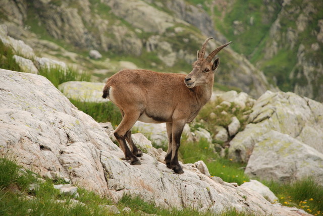 Sur le chemin du retour...une sympathique rencontre !