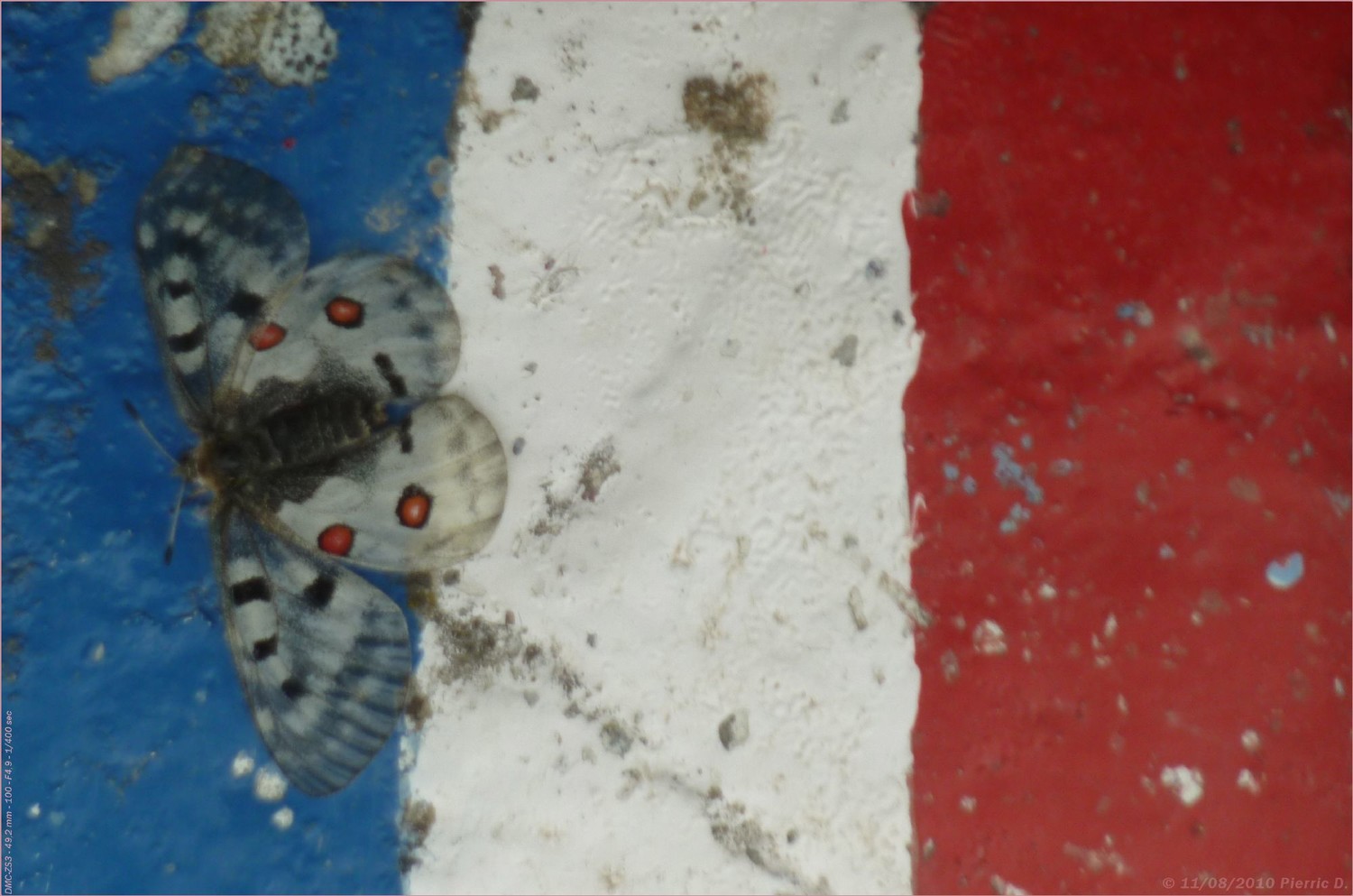 Apollon est Français... on l'a vu !!