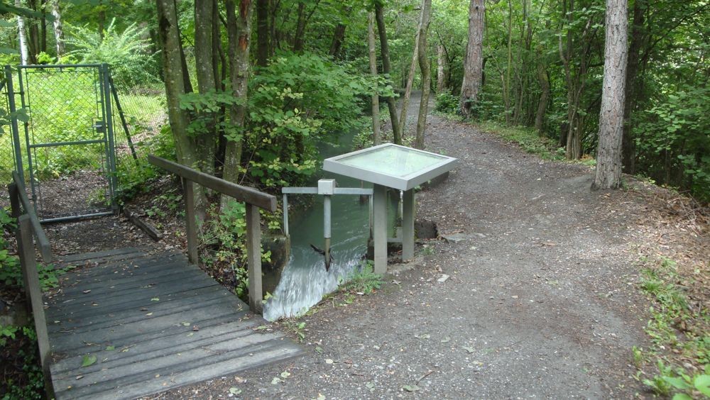 Bisse de Planige; sentier didactique flore