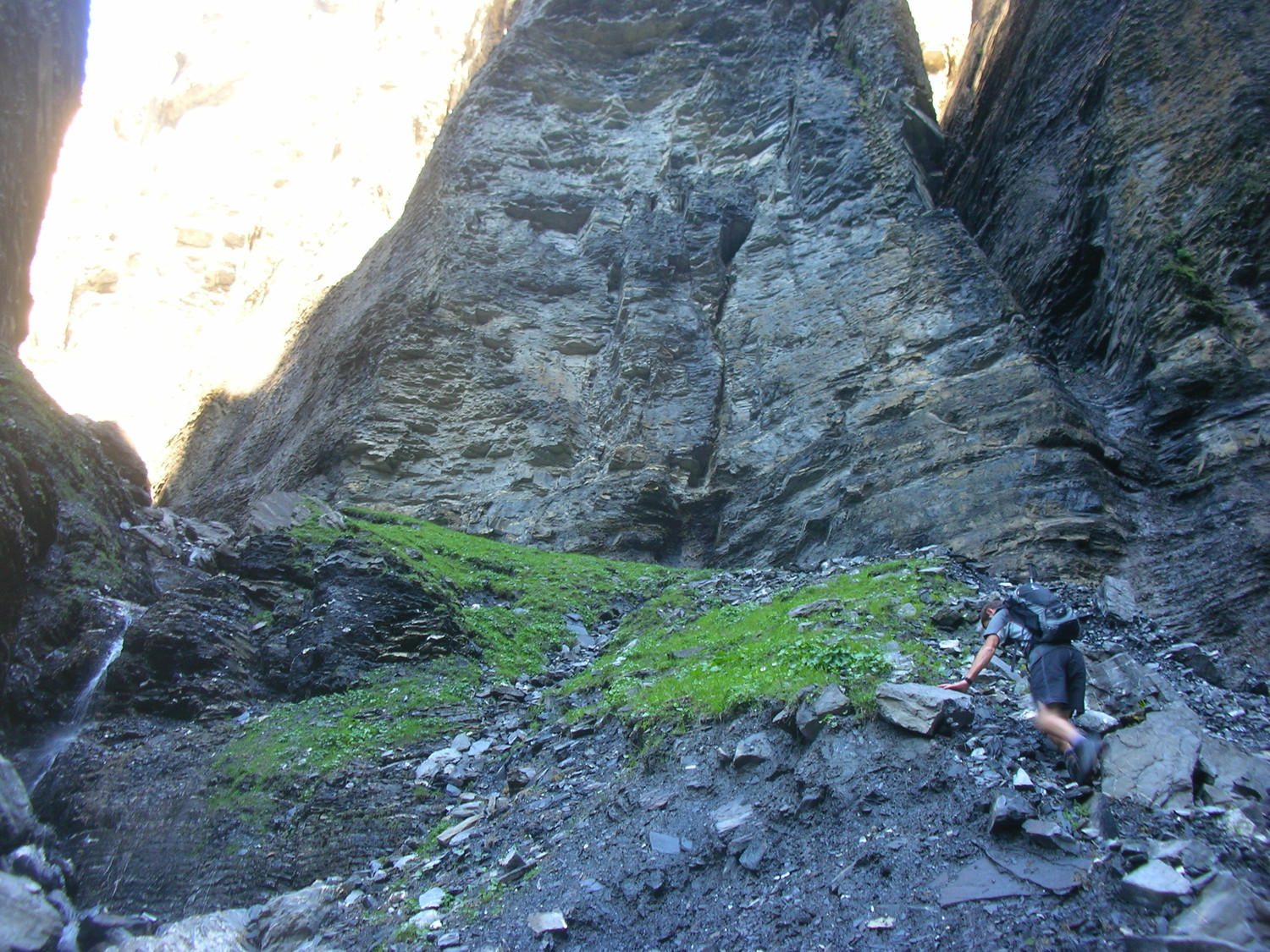 pied de la Guivre