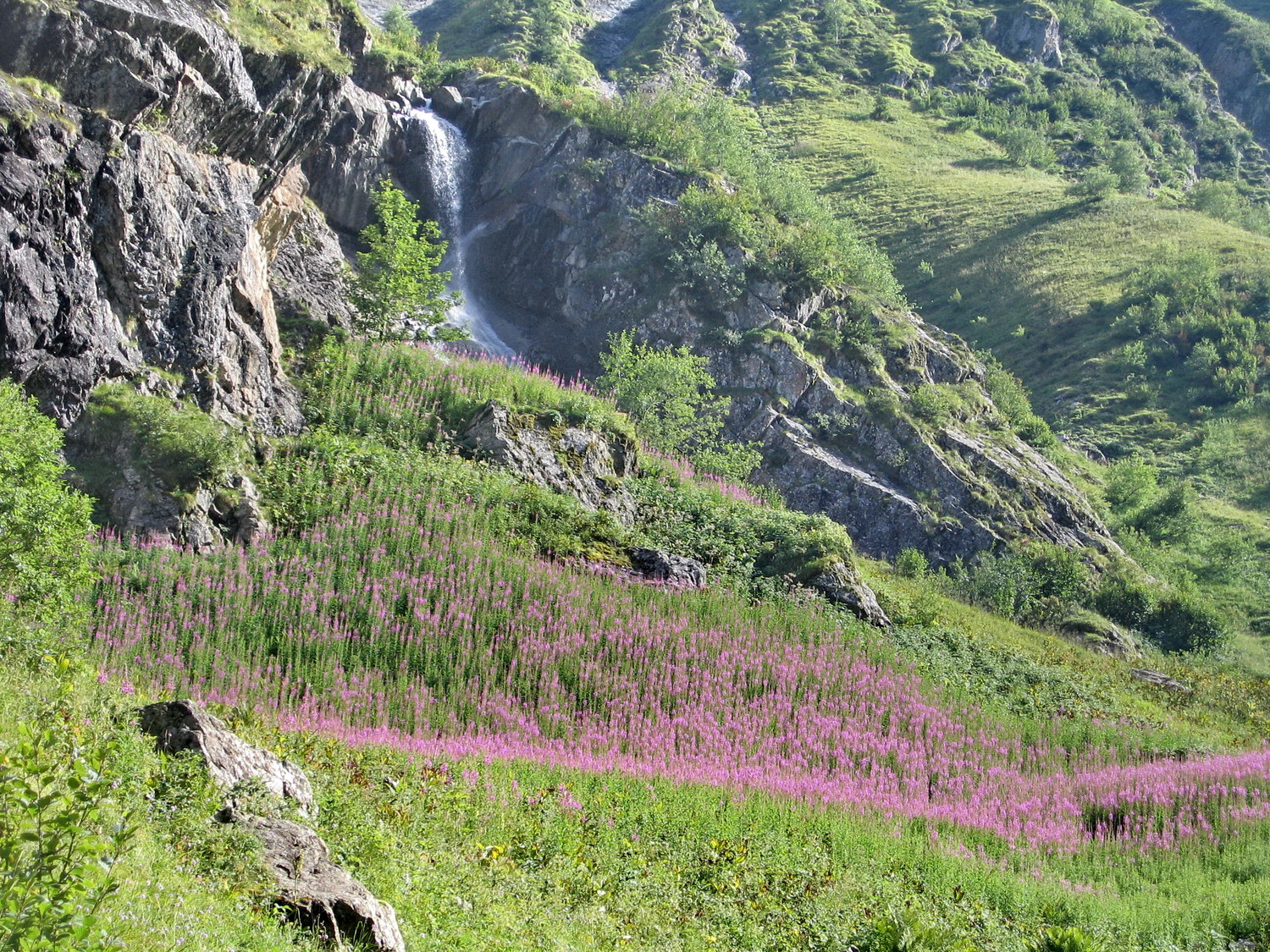 cascade dans le vallon de la Muzelle