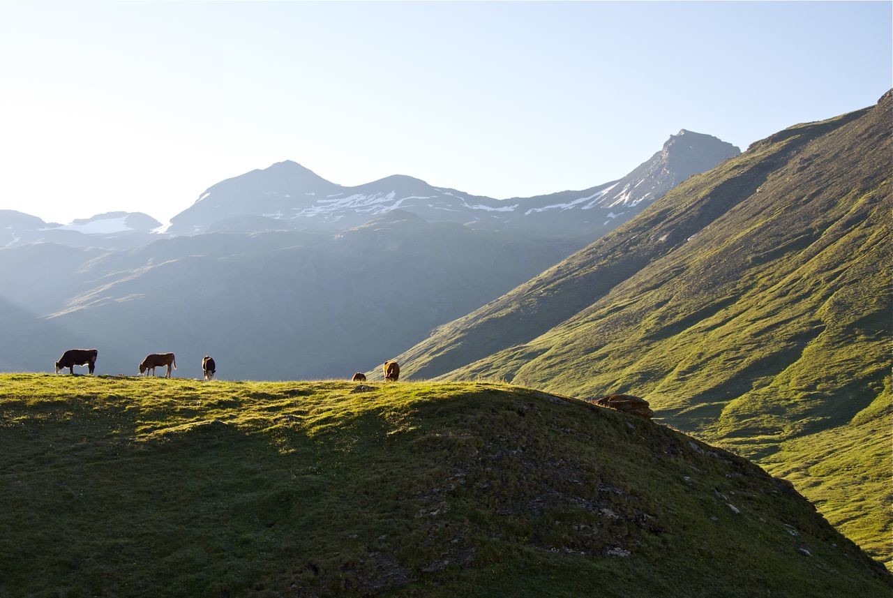 Vue depuis la chambre du refuge au petit matin