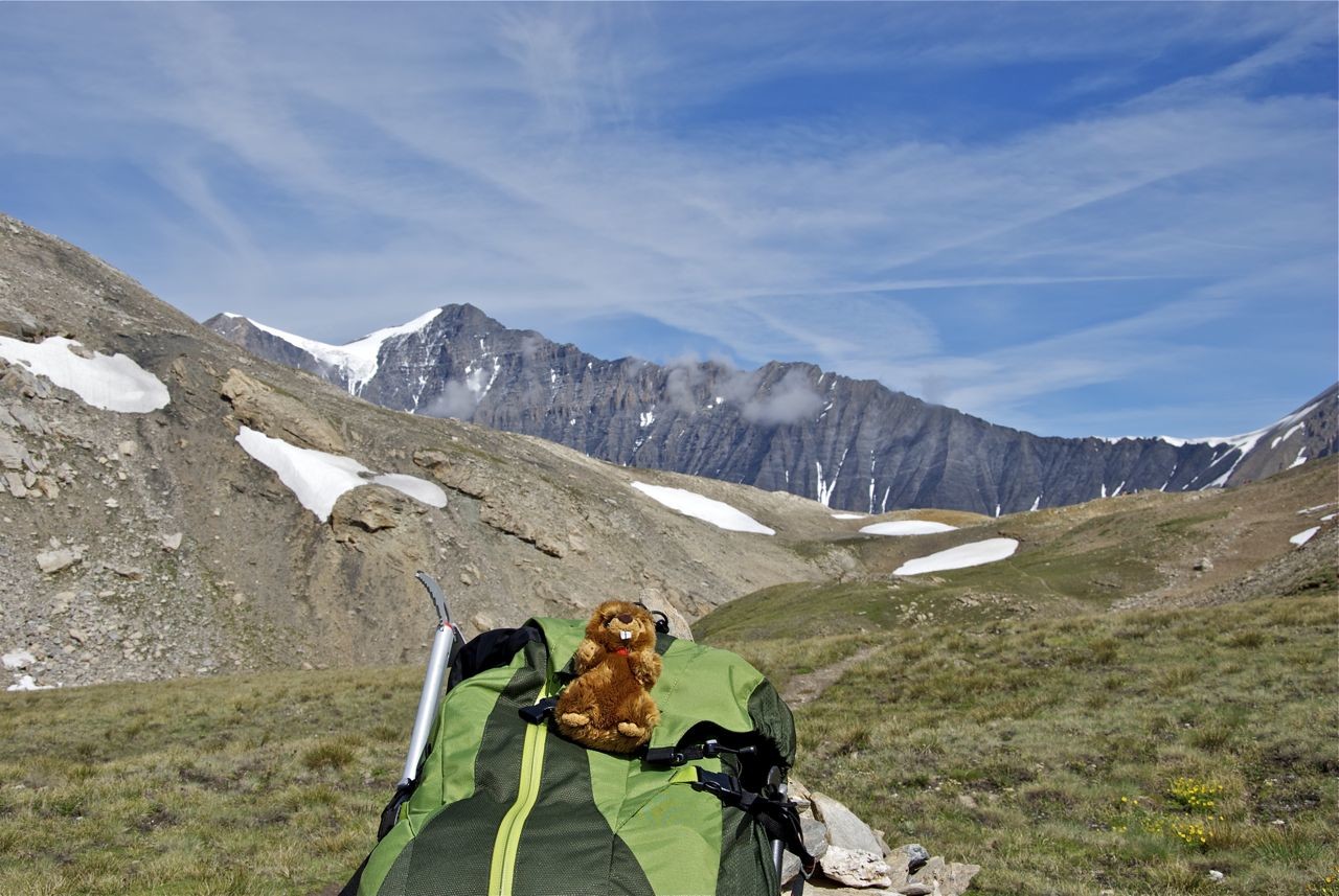 Les deux symboles de la Vanoise