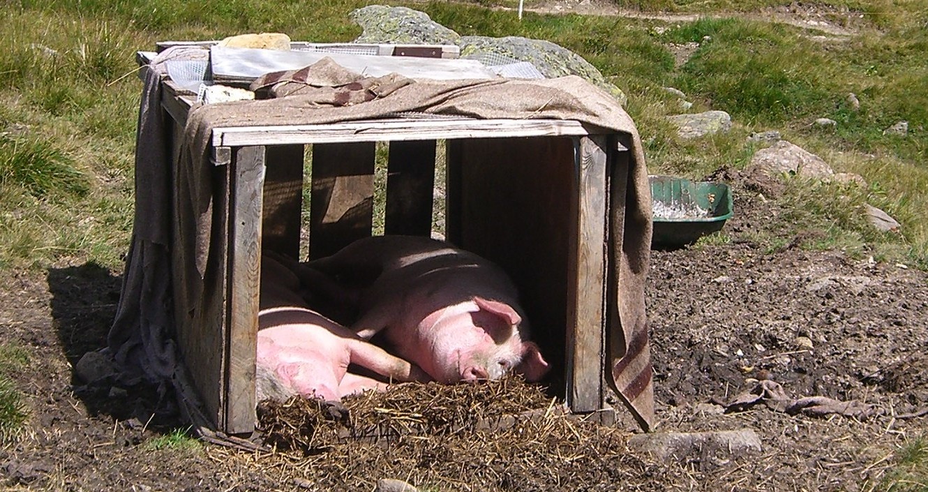cime des planettes: un "groin" de paradis!