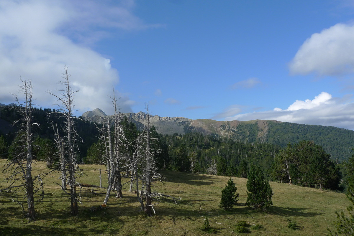 Alpage de Llanada d'el Clot