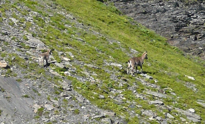 petit et maman