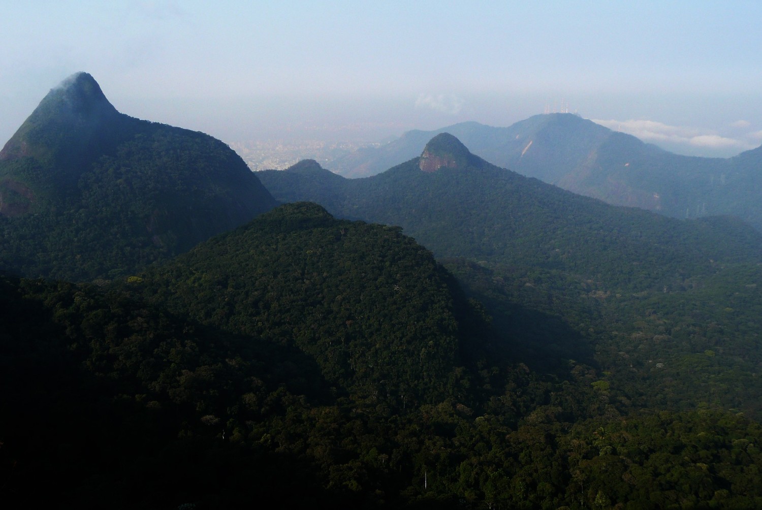 Forêt du PN de Tijuca (Rio), vue du Bico do Papagaio. Au fond, le Pico da Tijuca (1020m)