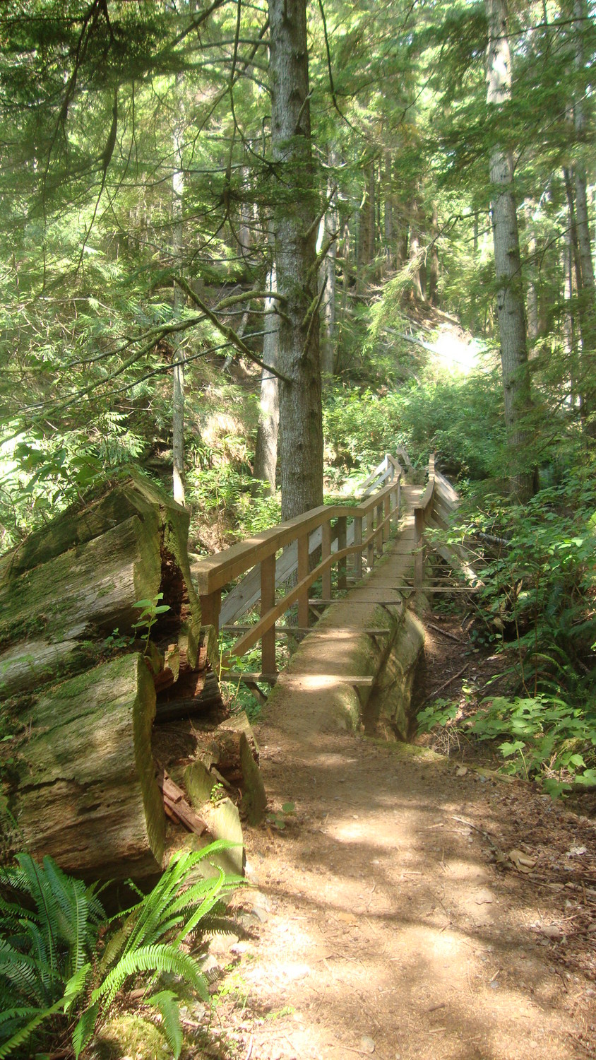 Juan de Fuca National Park