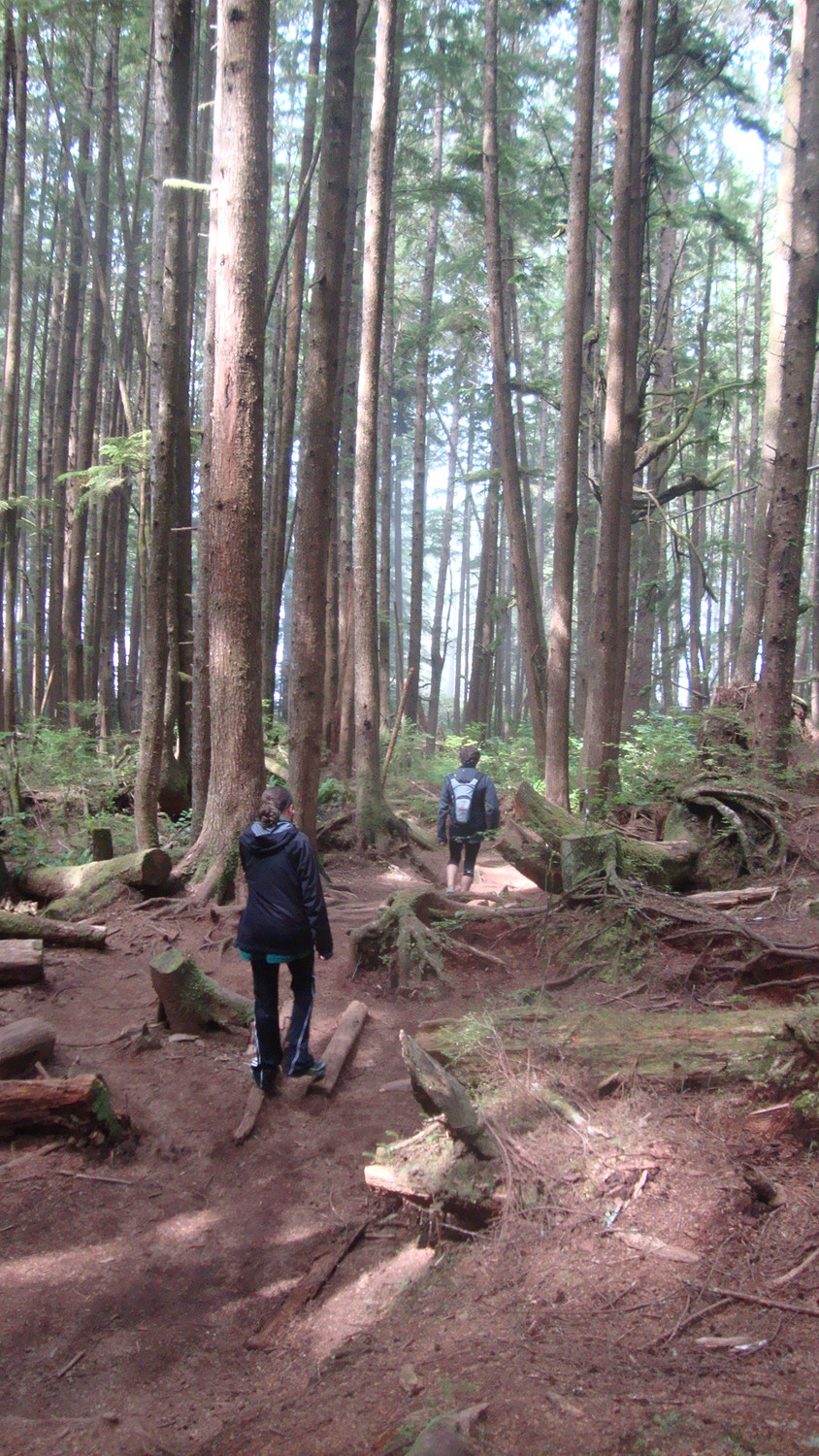 Juan de Fuca National Park