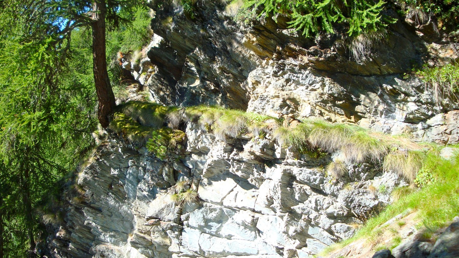 Ancien bisse Pletsche