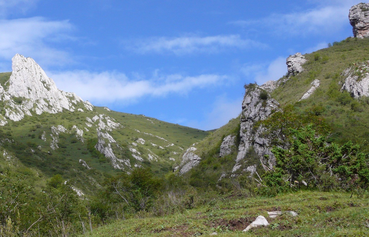 Le col