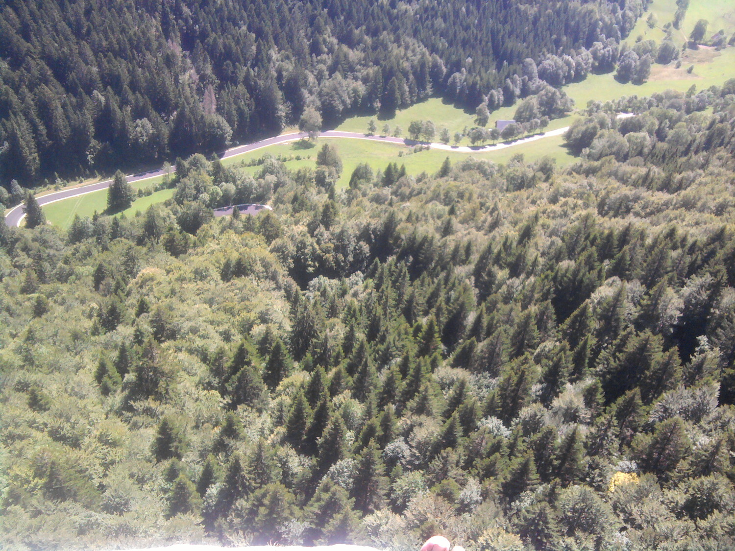 Le chemin d'accès se trouve dans cette forêt