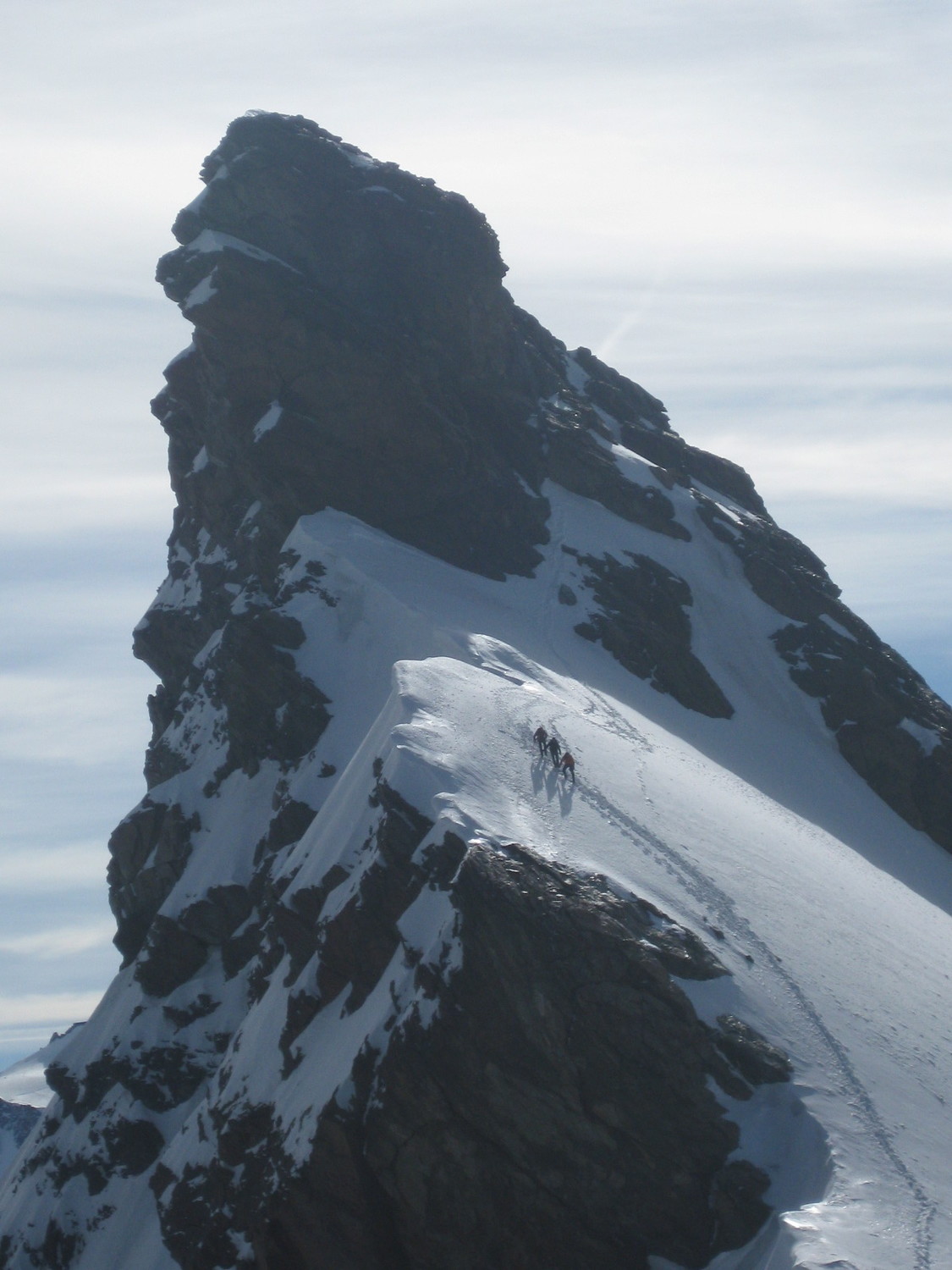 Magnifique Breithorn Oriental