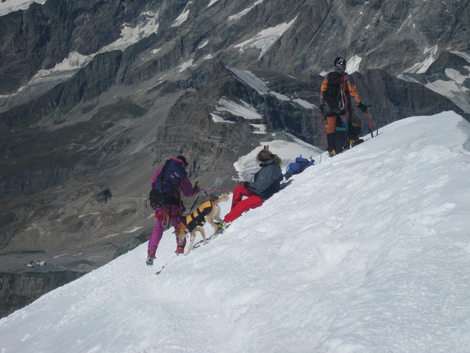 Chien au sommet du Breithorn Ouest :-)