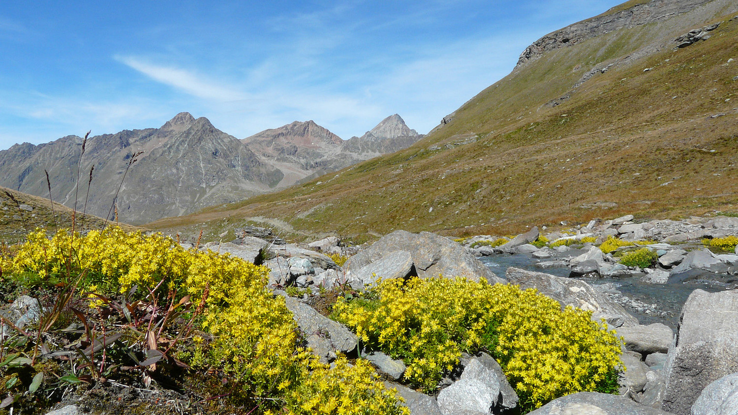 Le vallon de Grauson