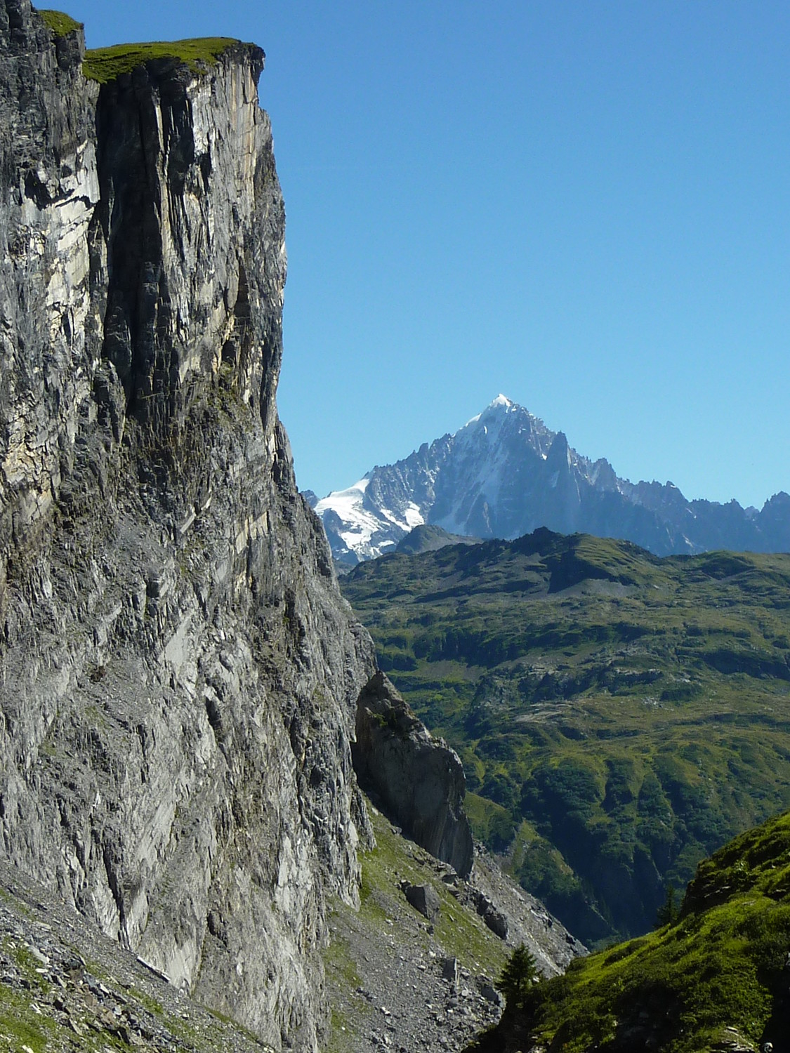 Le marteau et la faucille...non et la Verte !