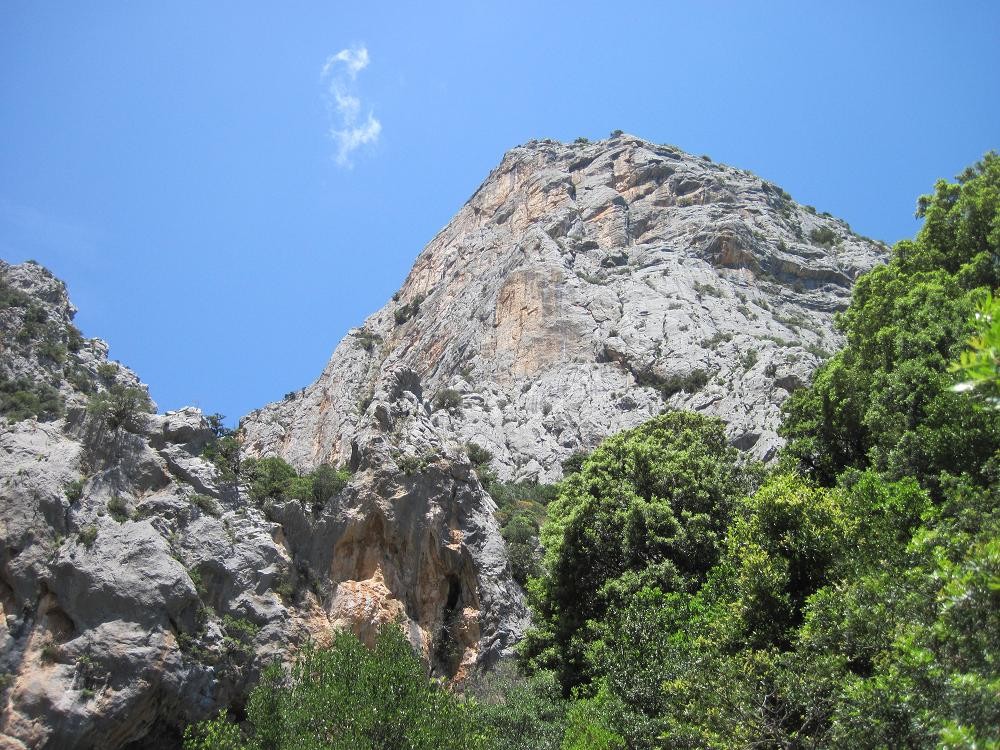 secteur Occhio Assoluto