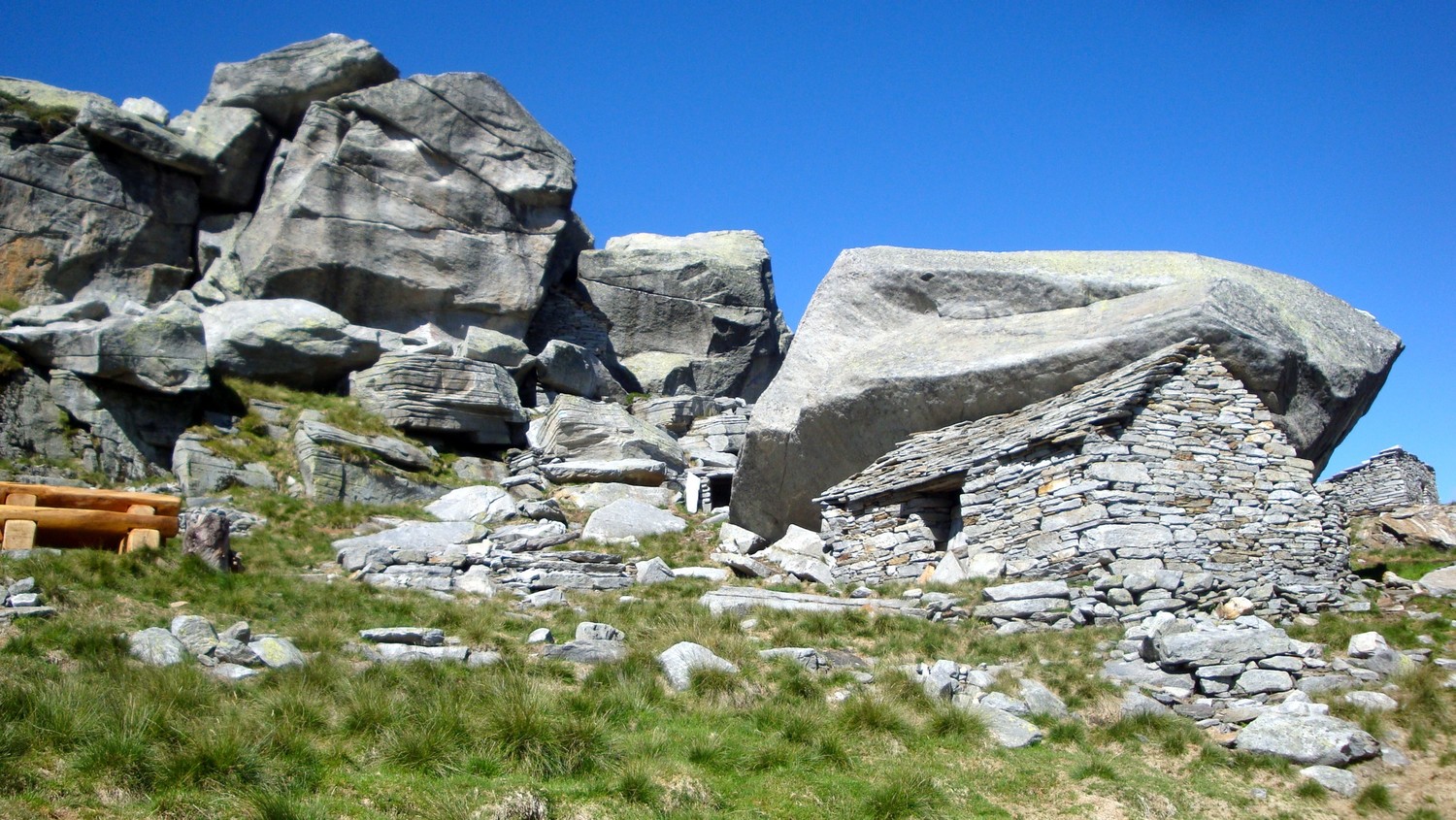 Scimarmota