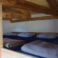 Alpage-cabane Masnee