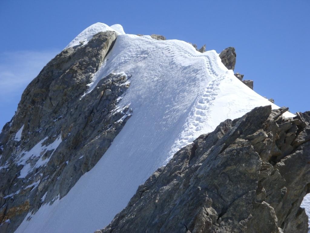 la suite ... un peu trop chaud pour une deuxième course