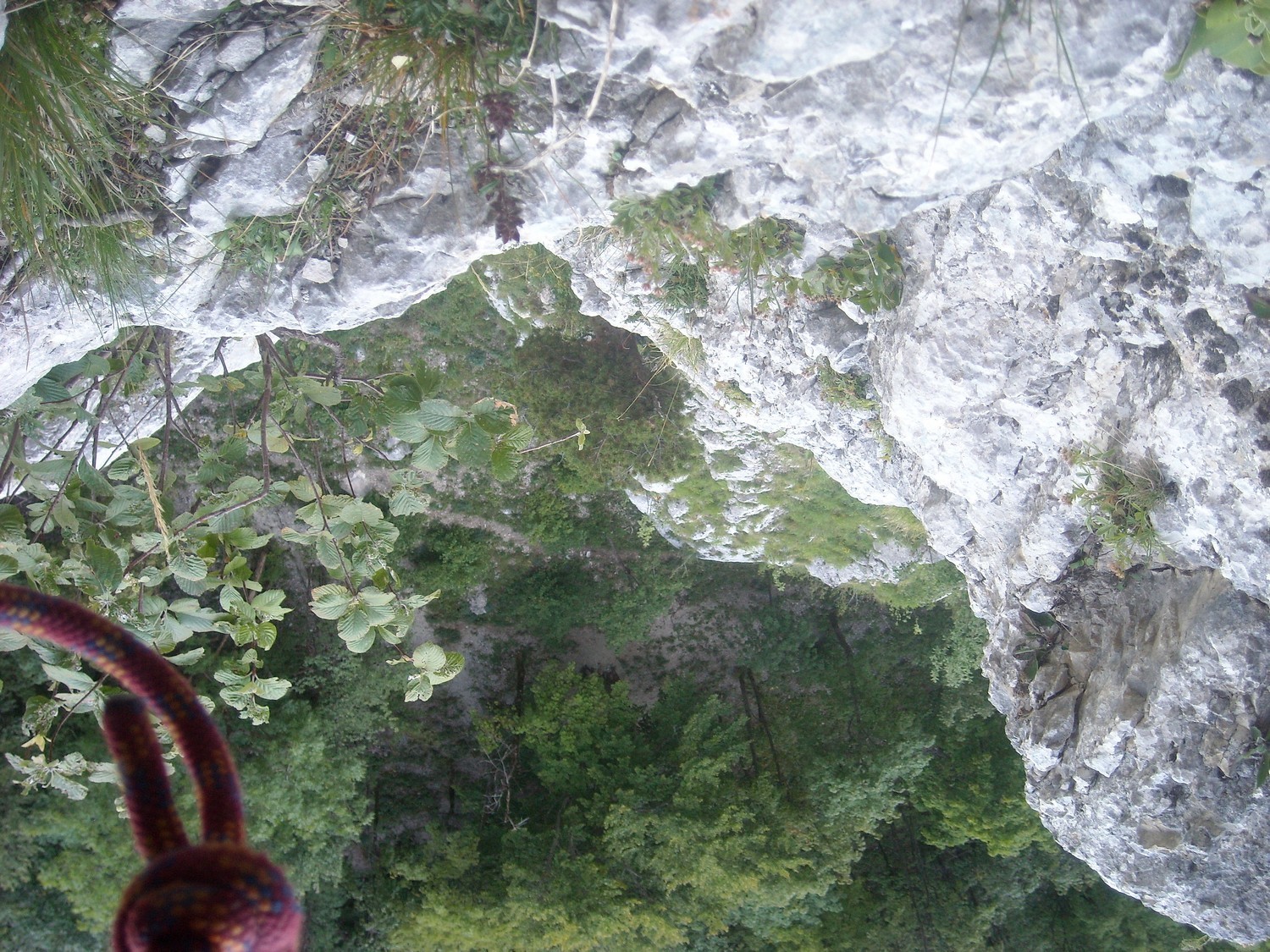 Dans L2 des Bargeaux.