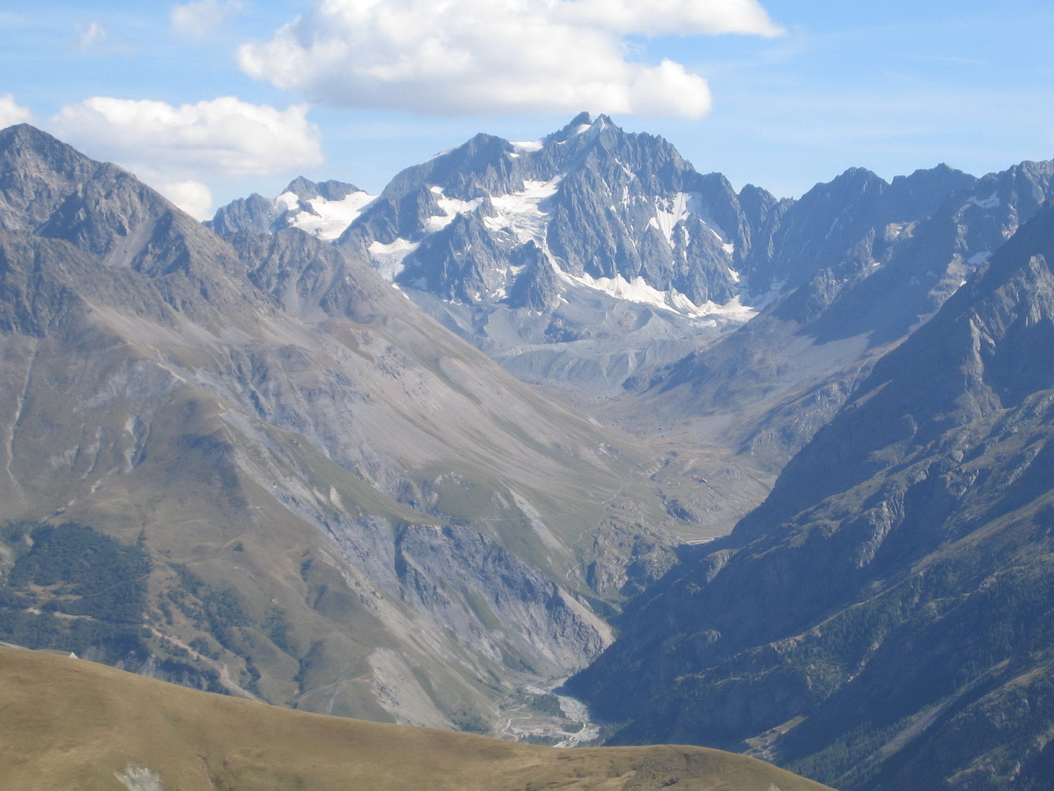les agneaux, de côte longue