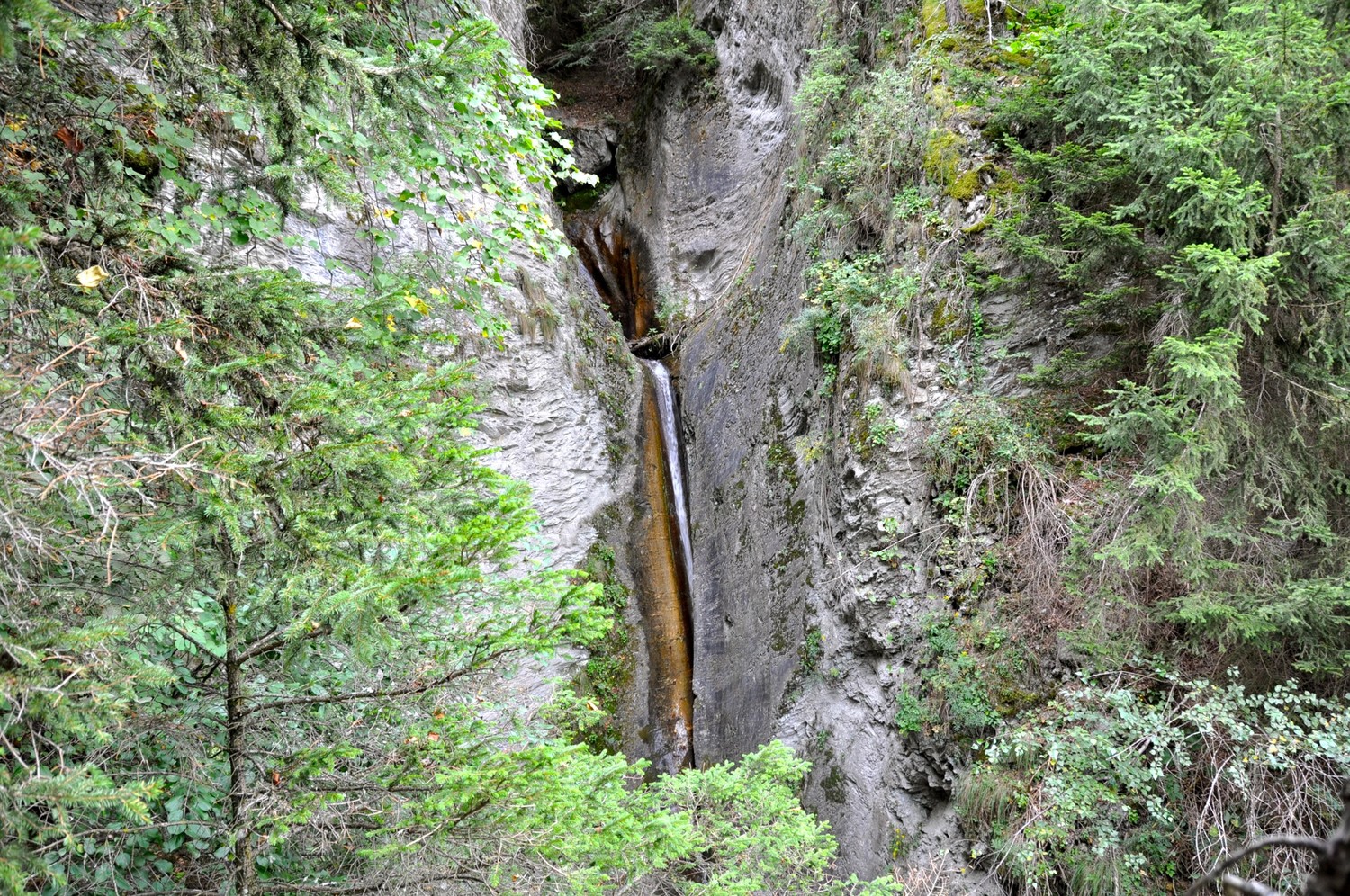 Gorge Tannbach à la prise.